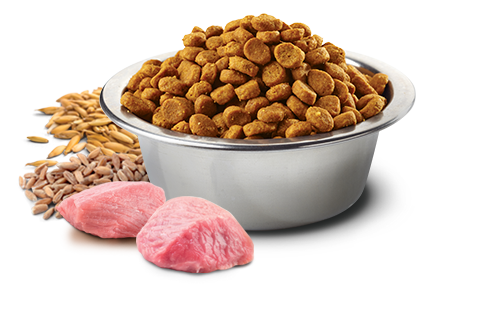 FARMINA N&D ANCESTRAL GRAIN DRY DOG FOOD: CHICKEN, SPELT, OATS & POMEGRANATE (15.4 LBS)