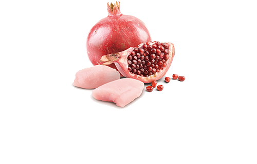 FARMINA N&D PRIME FELINE CHICKEN & POMEGRANATE