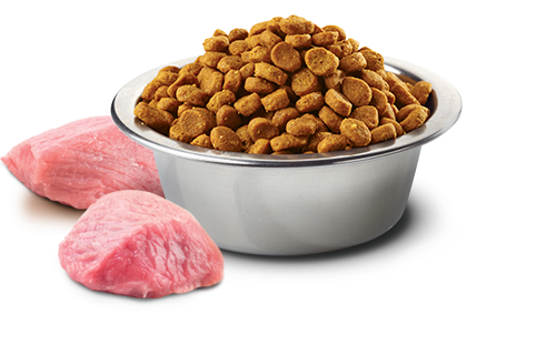 FARMINA N&D DRY DOG FOOD: GRAIN-FREE PUMPKIN, LAMB & BLUEBERRY (15.4 LBS)