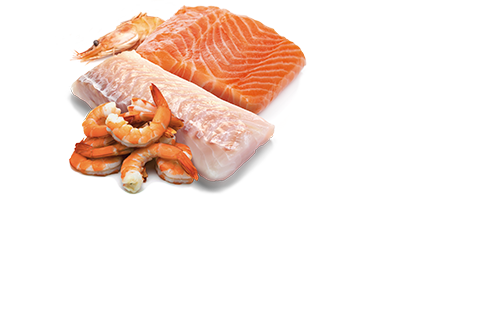 FARMINA N&D OCEAN FELINE SALMON, COD & SHRIMP