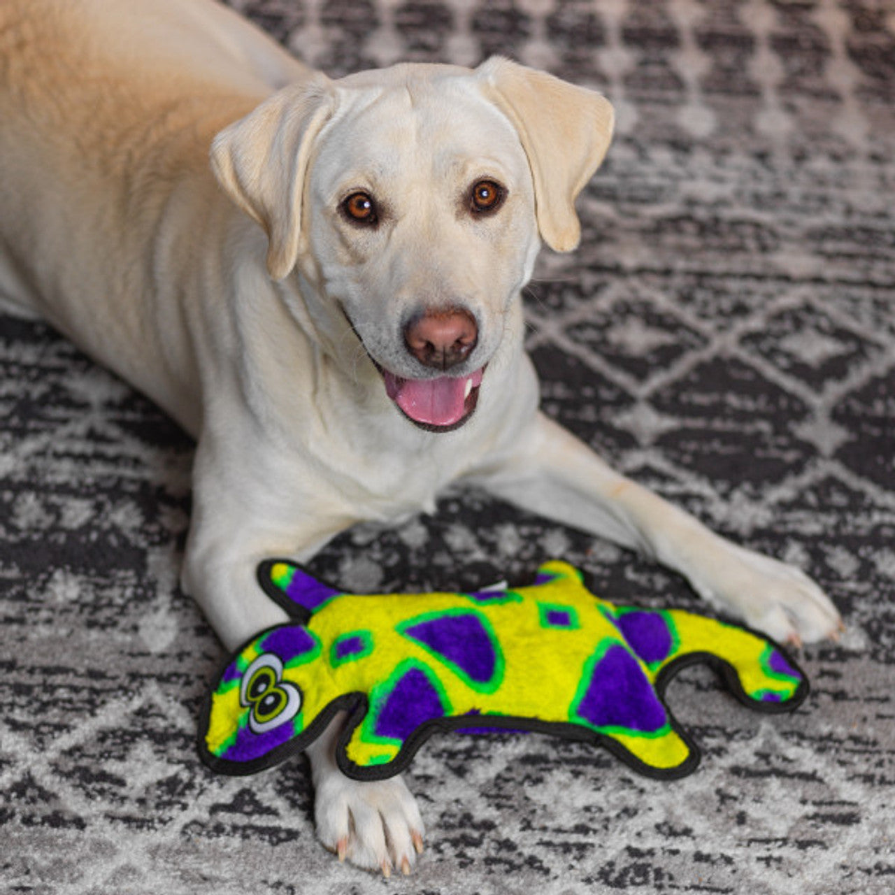OUTWARD HOUND GECKO GREEN