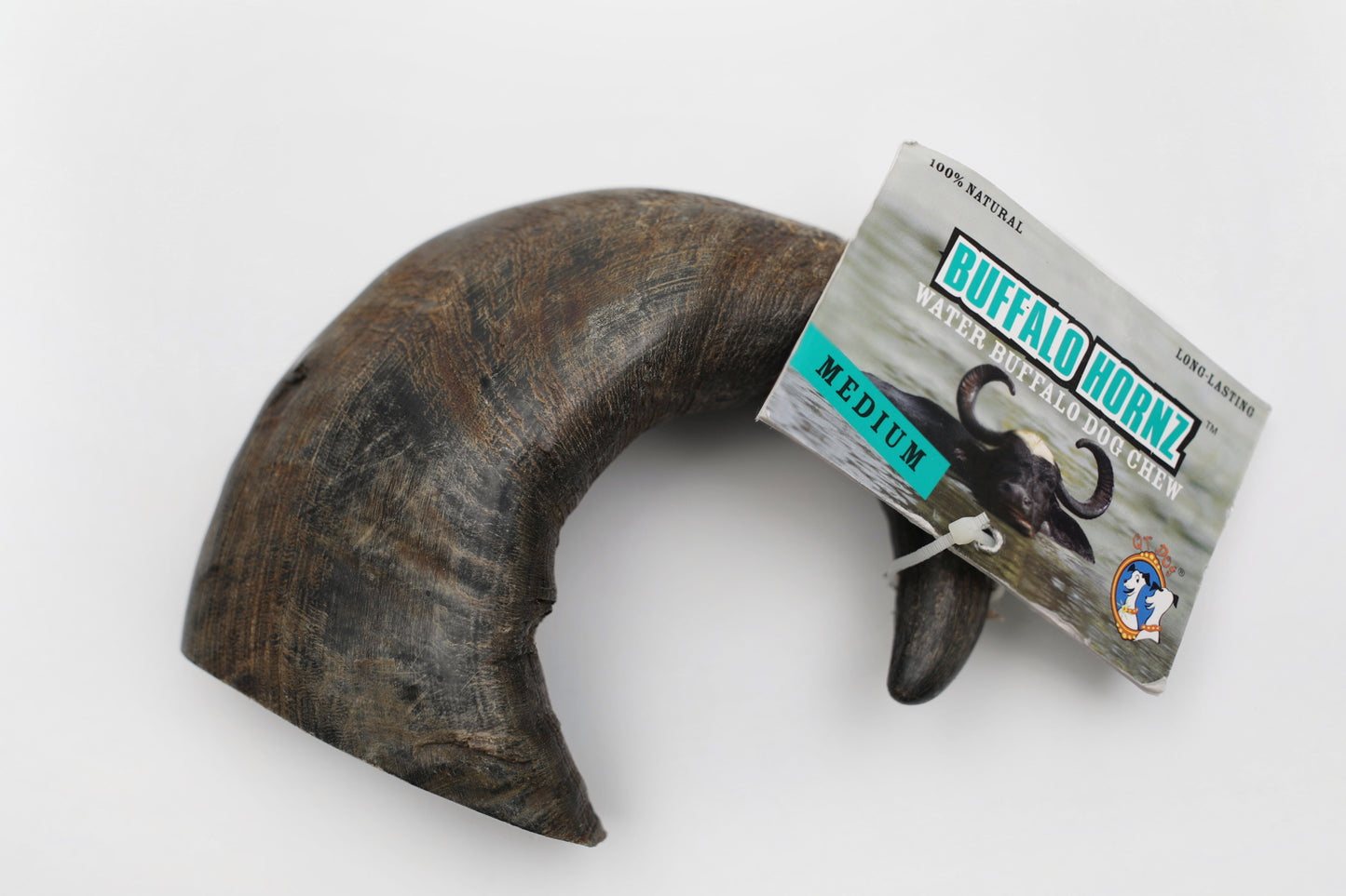 QT DOG BUFFALO HORN-MEDIUM