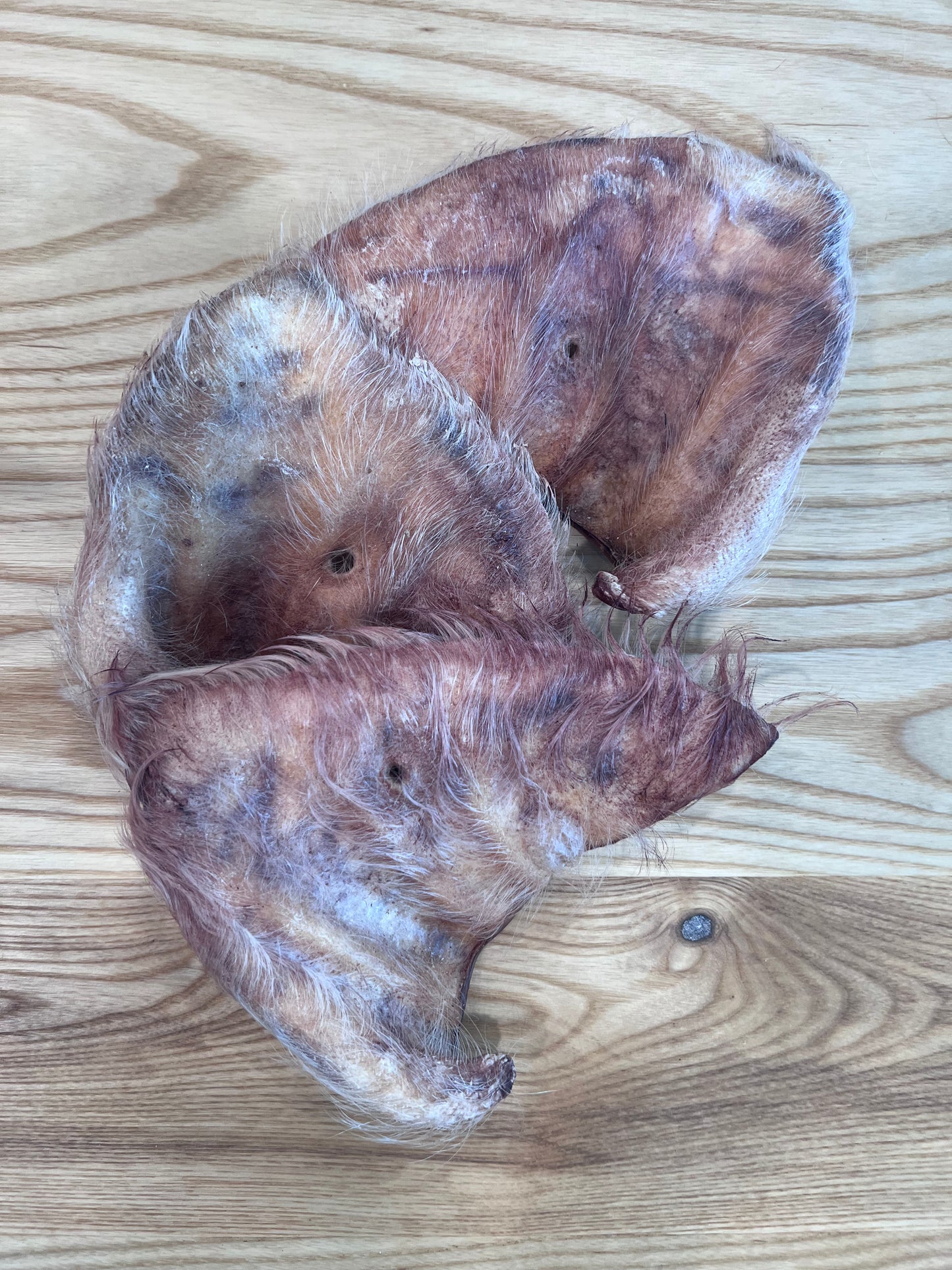 MOMENTUM FREEZE DRIED HAIRY PIG EAR