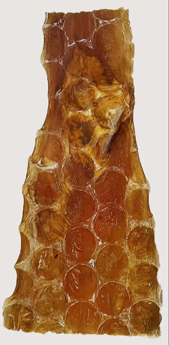 SCOOCHIE PET BLADDER STRIP 6IN