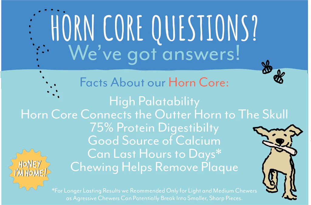 HONEY I’M HOME BUFFALO HORN CORE