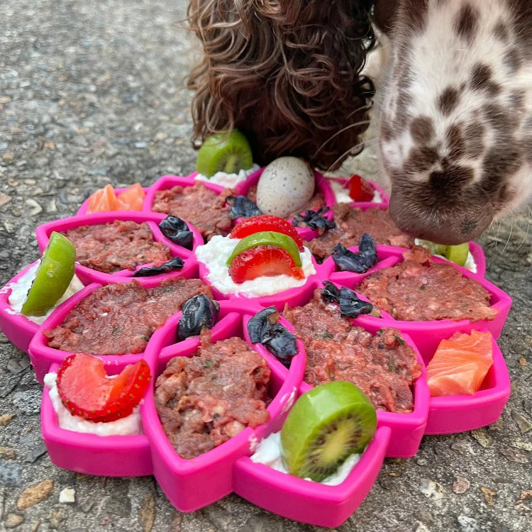 SODAPUP MANDALA DESIGN ETRAY ENRICHMENT TRAY FOR DOGS - PINK