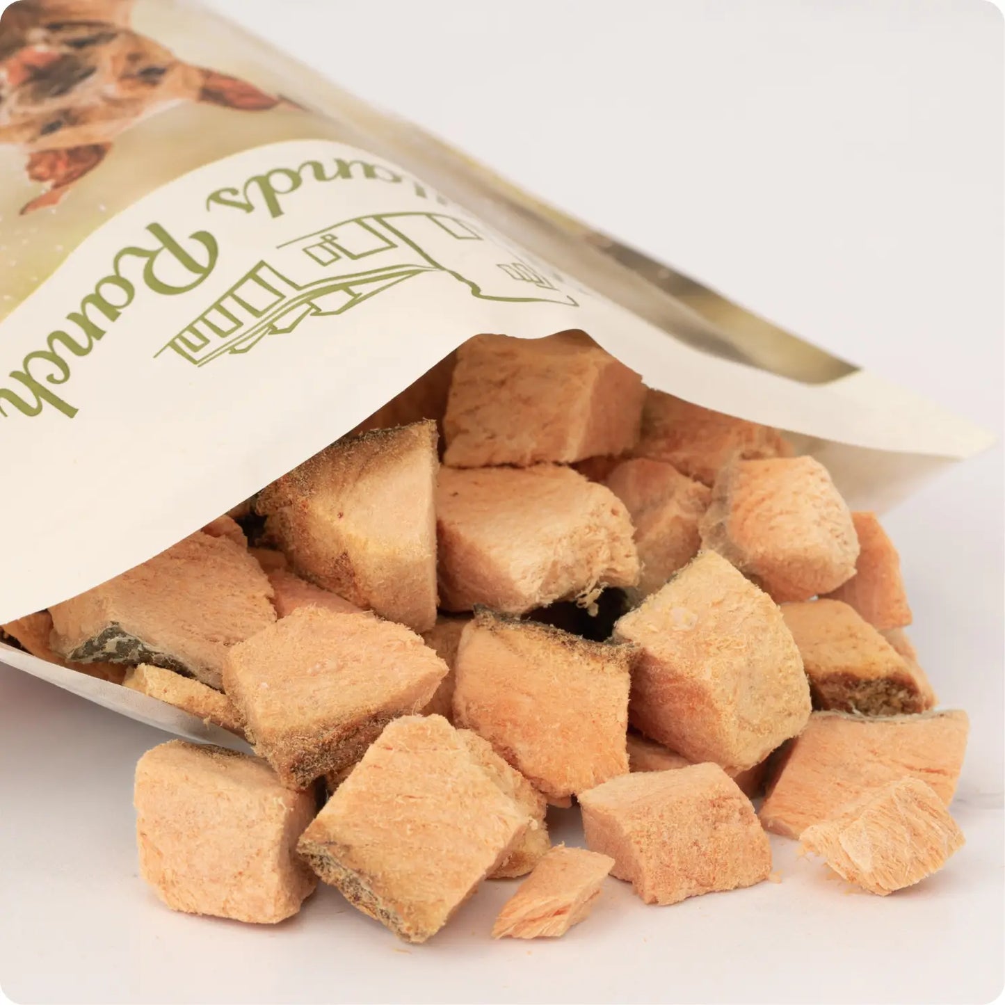 BADLANDS RANCH SALMON BITES