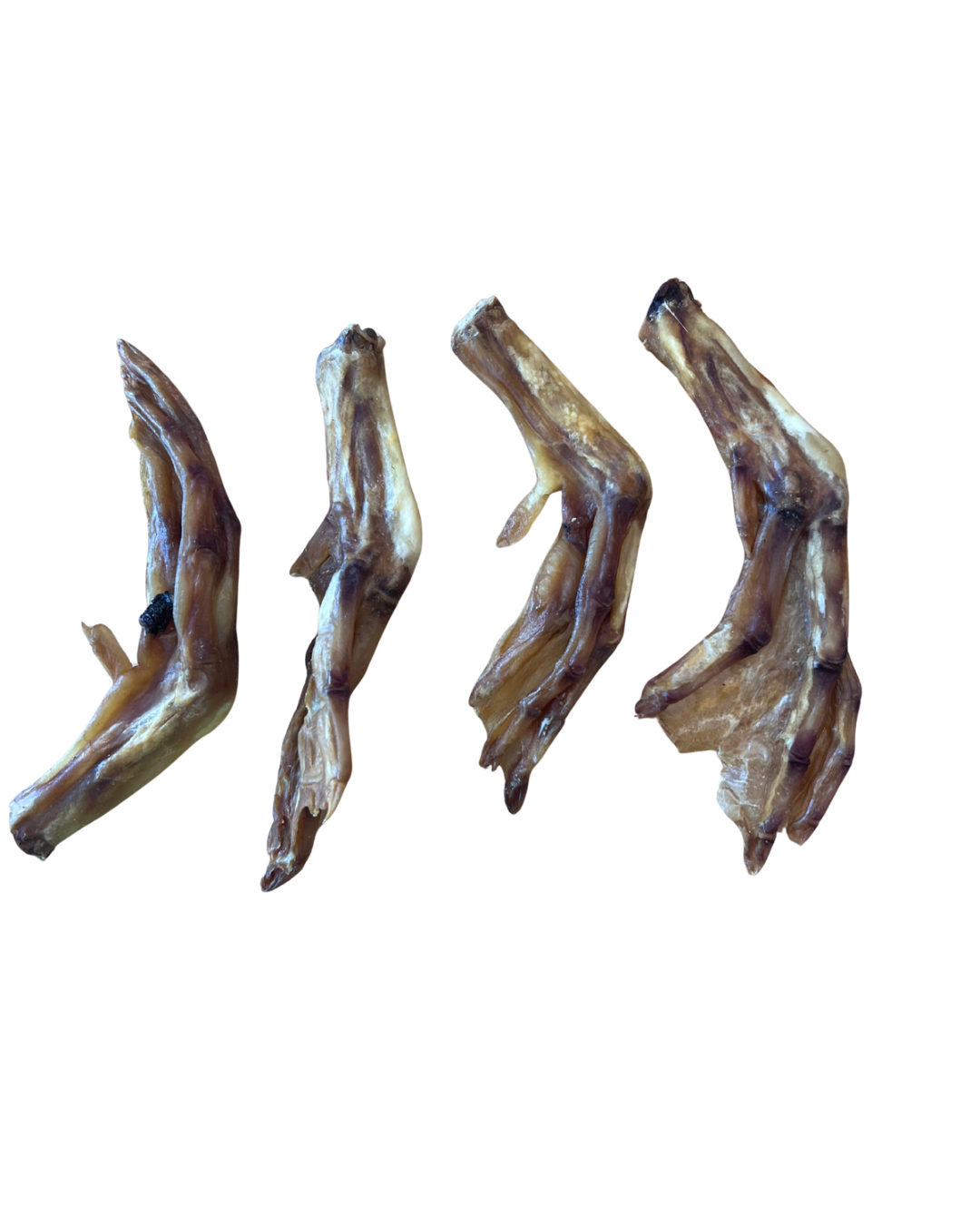 Duck Feet