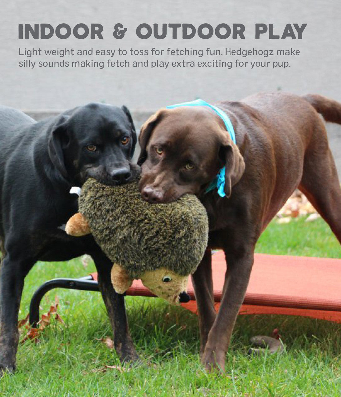 Outward Hound Durablez Hedgehog