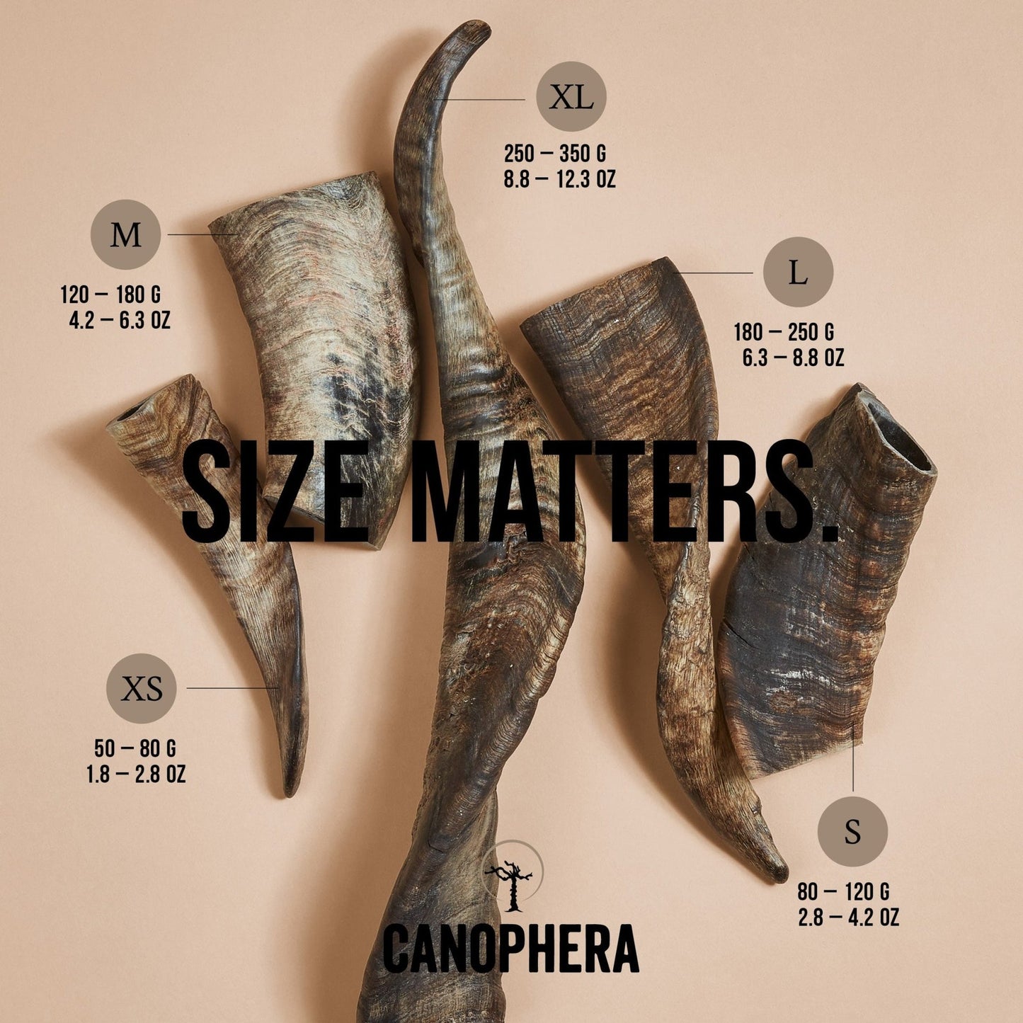 CANOPHERA SHEEP HORN: SMALL