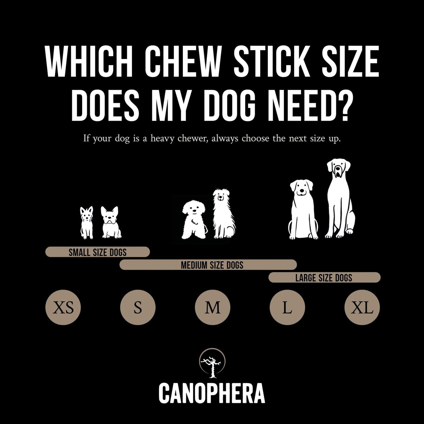CANOPHERA SHEEP HORN: LARGE