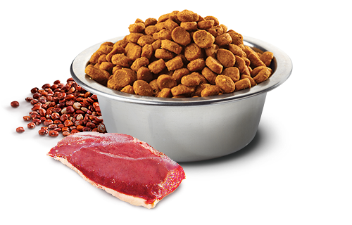 FARMINA N&D DRY CAT FOOD: QUINOA URINARY (3.3 LBS)