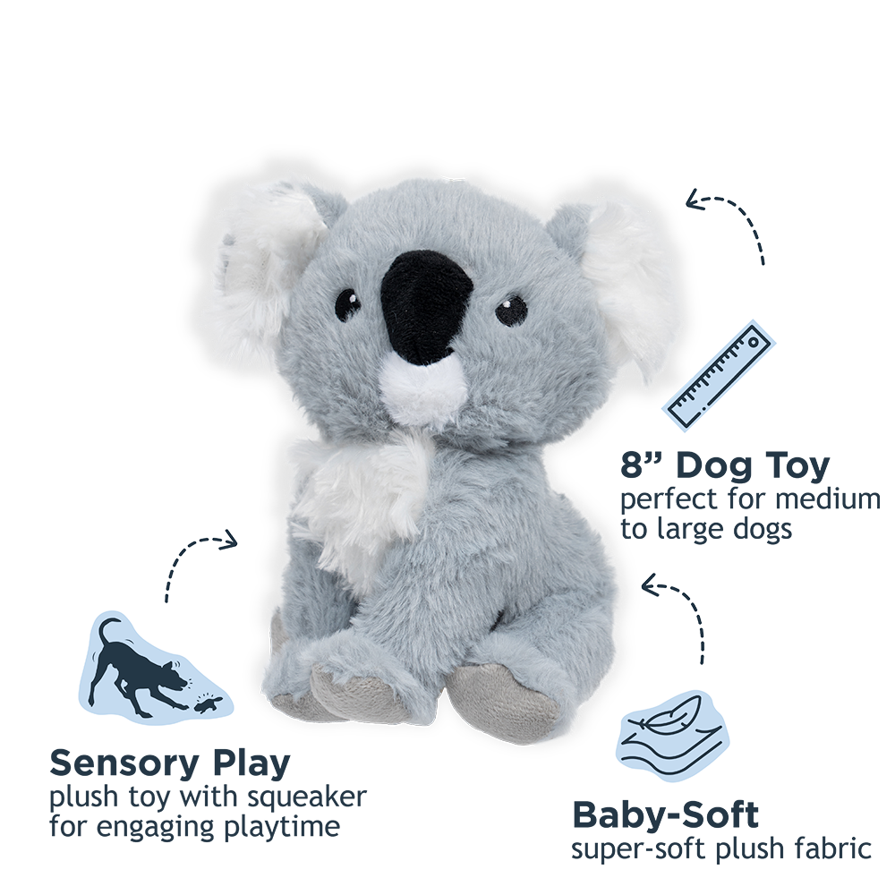 Koala with Squeaker Dog Toy