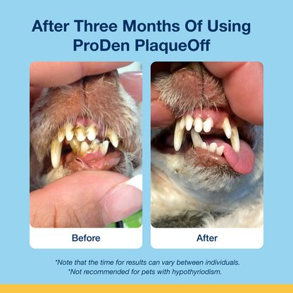 PRODEN PLAQUEOFF SOFT CHEWS SM/MED DOGS