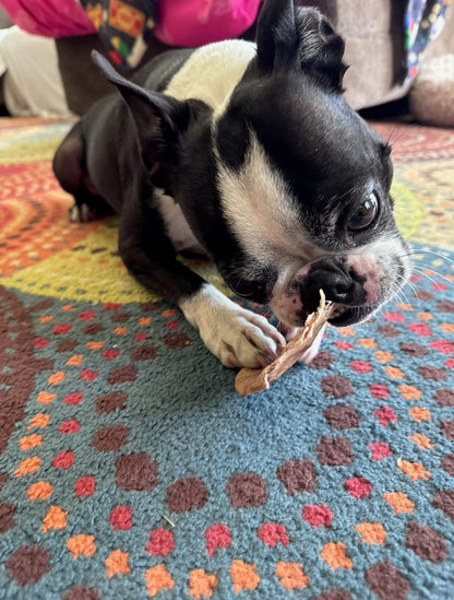 MOMENTUM FREEZE DRIED PIG EARS