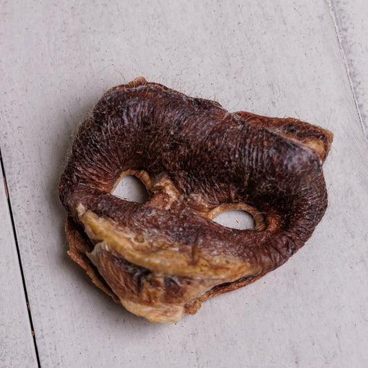 MOMENTUM PIG SNOUT