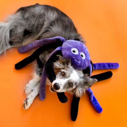 ZIPPY PAWS HALLOWEEN GRUNTERZ PURPLE SPIDER
