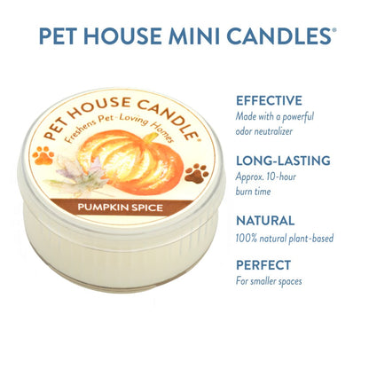 PET HOUSE CANDLE MINI PUMPKIN SPICE