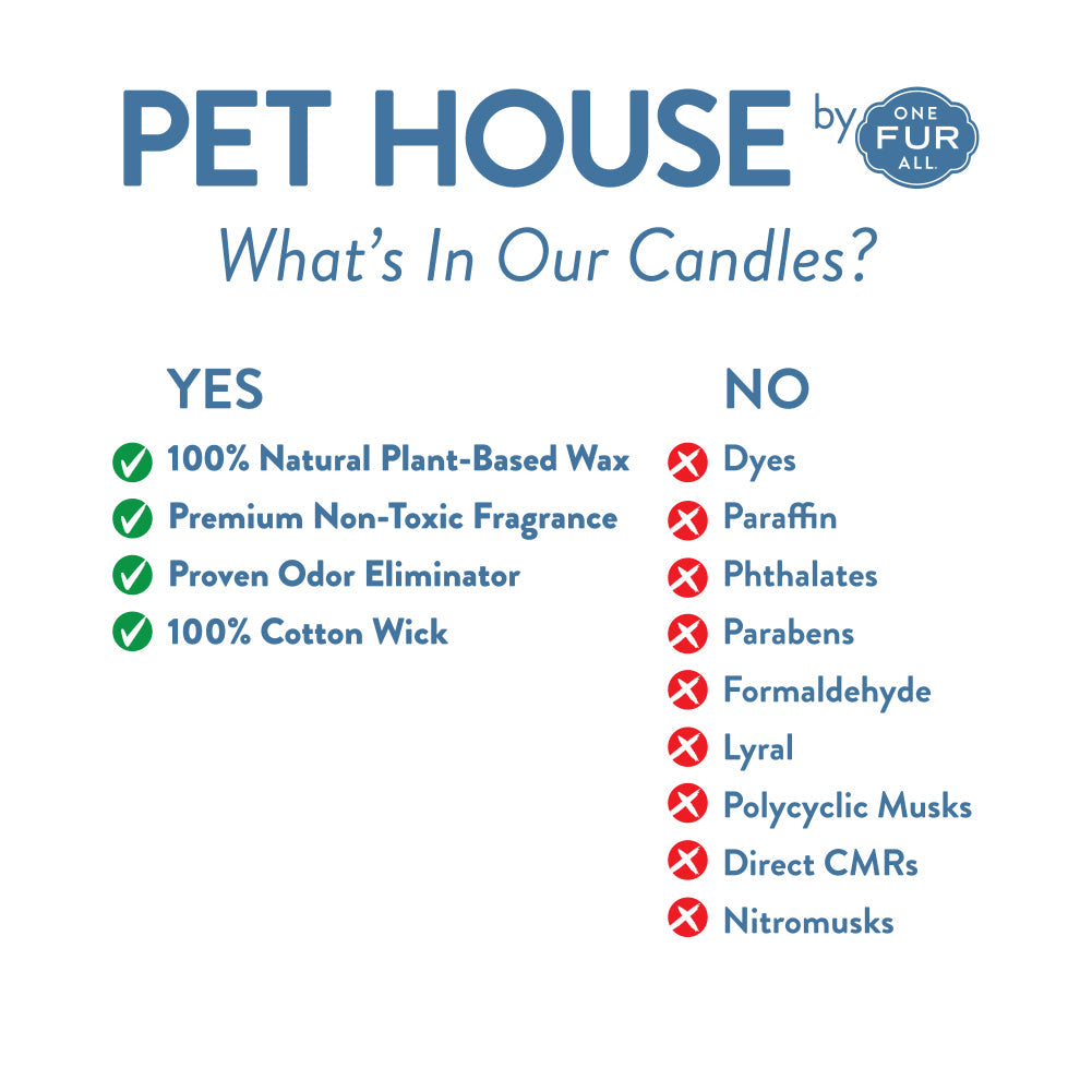 PET HOUSE CANDLE MINI APPLE CIDER