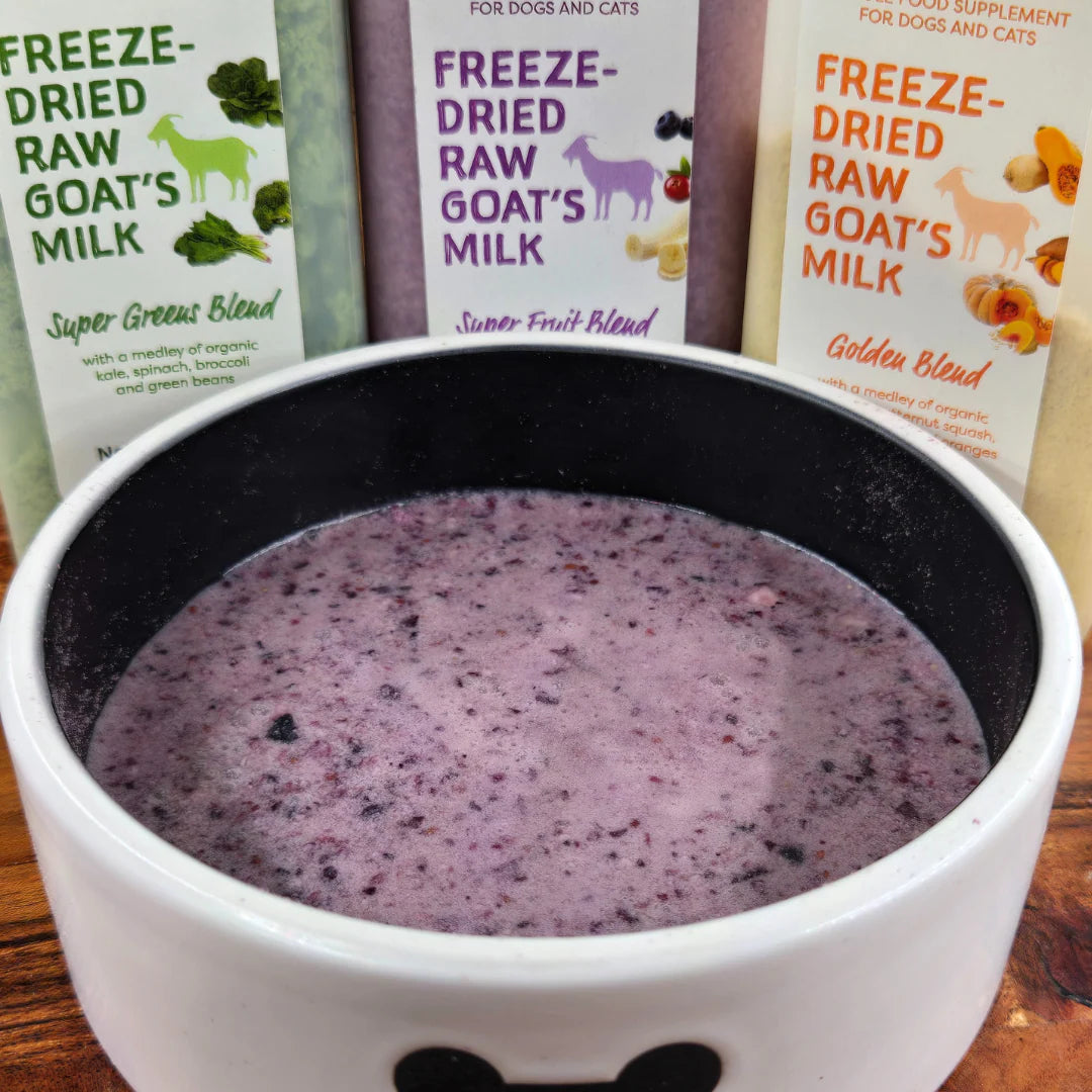SHEPHERD BOY FARMS FREEZE DRIED GOAT MILK SUPER FRUIT BLEND 1 oz