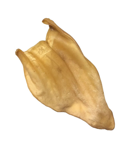 WATER BUFFALO EAR-HAIRLESS