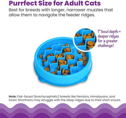 CATSTAGES KITTY SLOW FEEDER BOWL