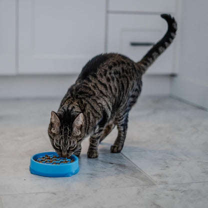 CATSTAGES KITTY SLOW FEEDER BOWL