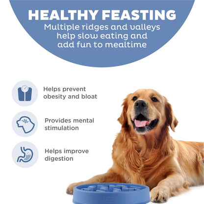 OUTWARD HOUND FUN FEEDER BLUE NOTCH PATTERN