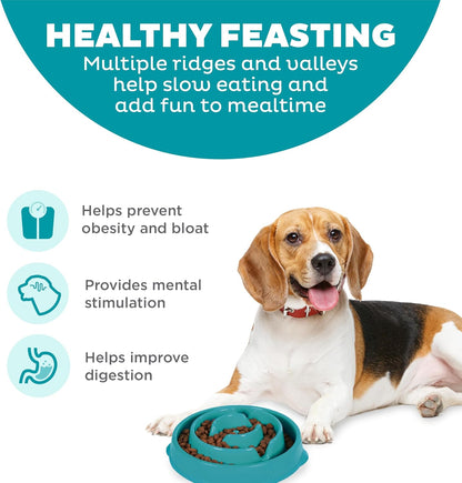 OUTWARD HOUND FUN FEEDER TURQUOISE DROP PATTERN