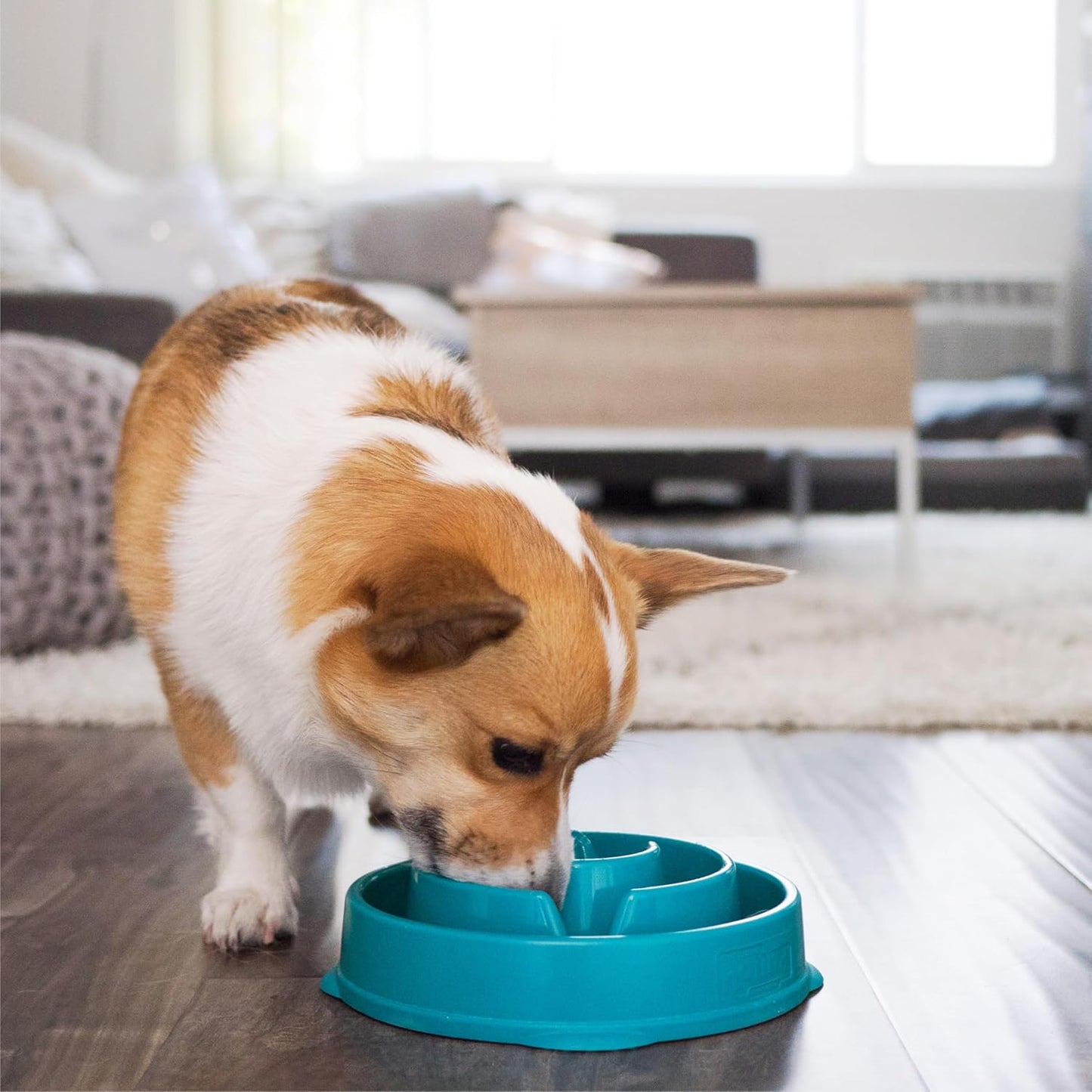 OUTWARD HOUND FUN FEEDER TURQUOISE DROP PATTERN