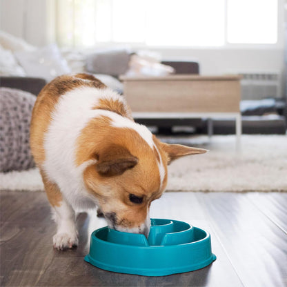 OUTWARD HOUND FUN FEEDER TURQUOISE DROP PATTERN