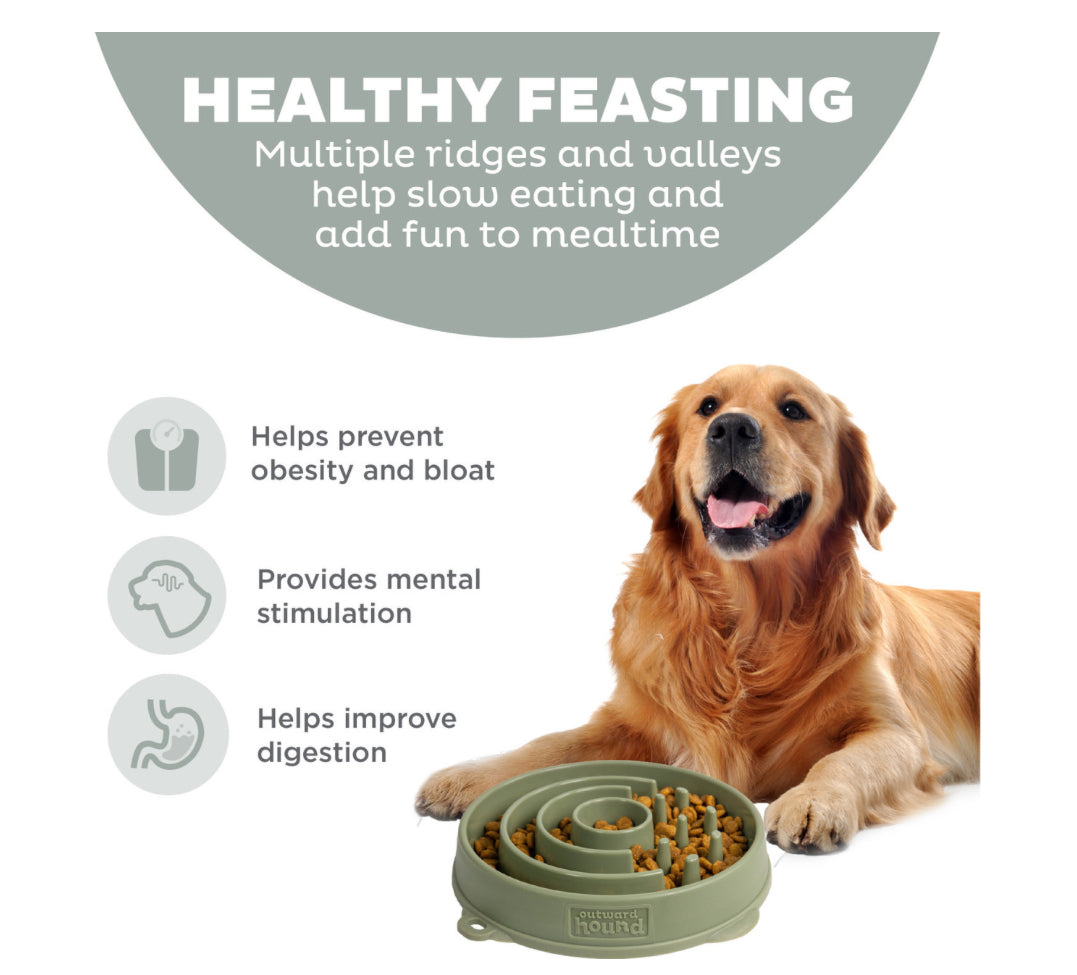 OUTWARD HOUND FUN FEEDER SAGE CIRCLE