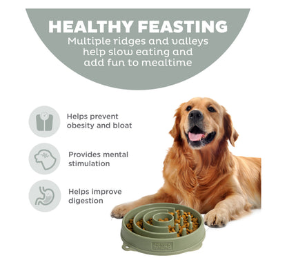 OUTWARD HOUND FUN FEEDER SAGE CIRCLE