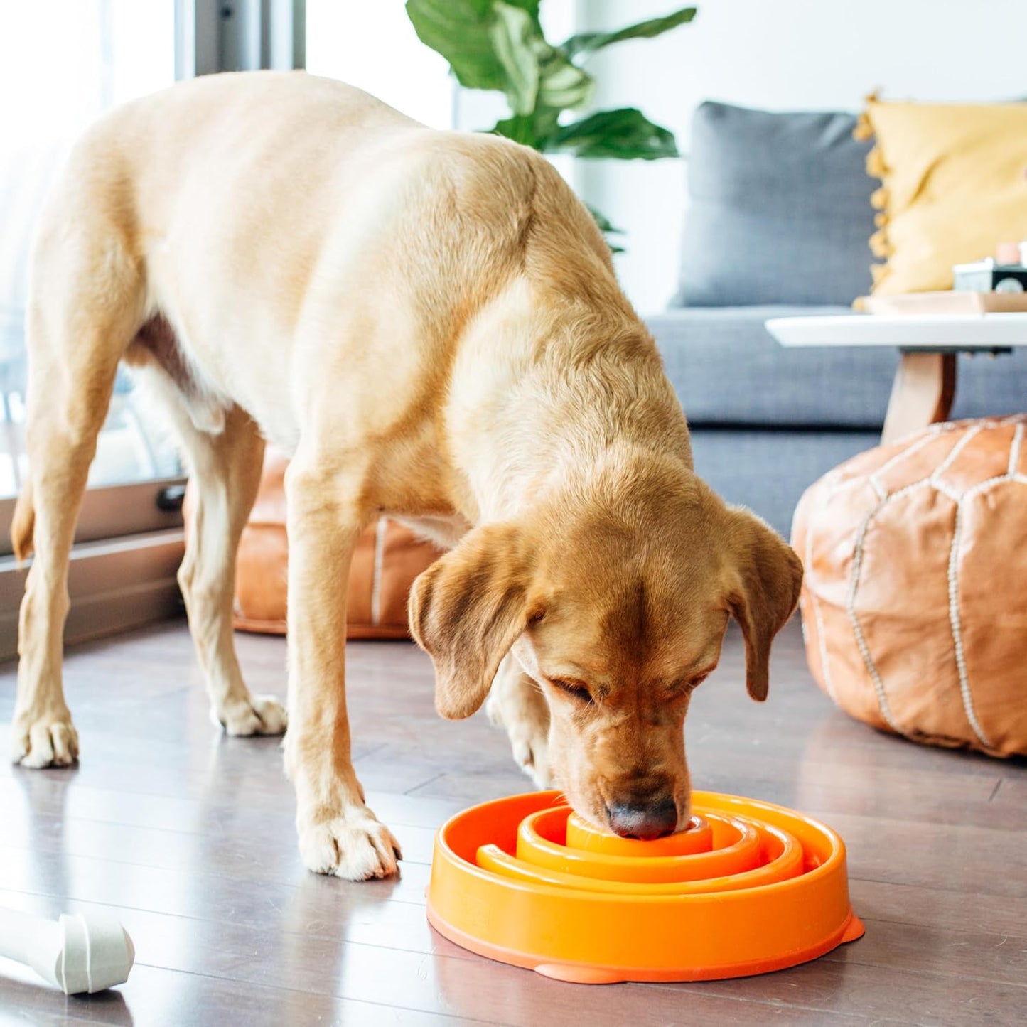 OUTWARD HOUND FUN FEEDER ORANGE SWIRL PATTERN