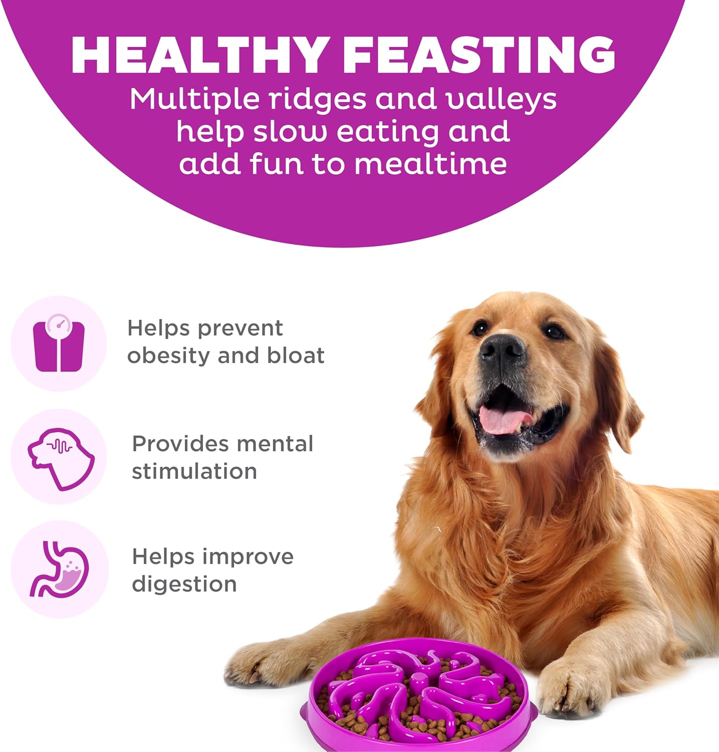 OUTWARD HOUND FUN FEEDER PURPLE FLOWER PATTERN