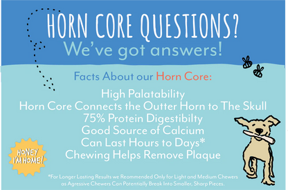 HONEY I’M HOME BUFFALO HORN CORE