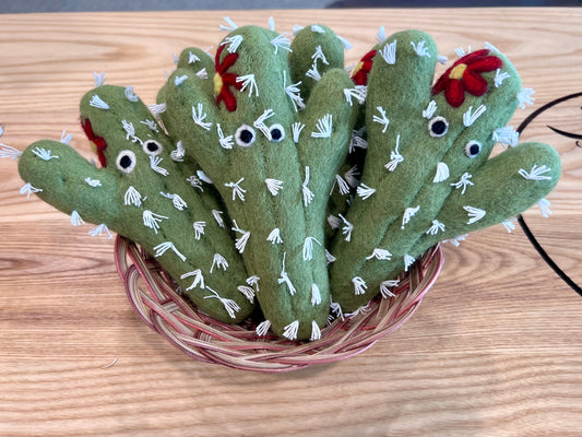 WHISKERS ‘N PAWS WOOL FELT CACTUS KICKER TOY
