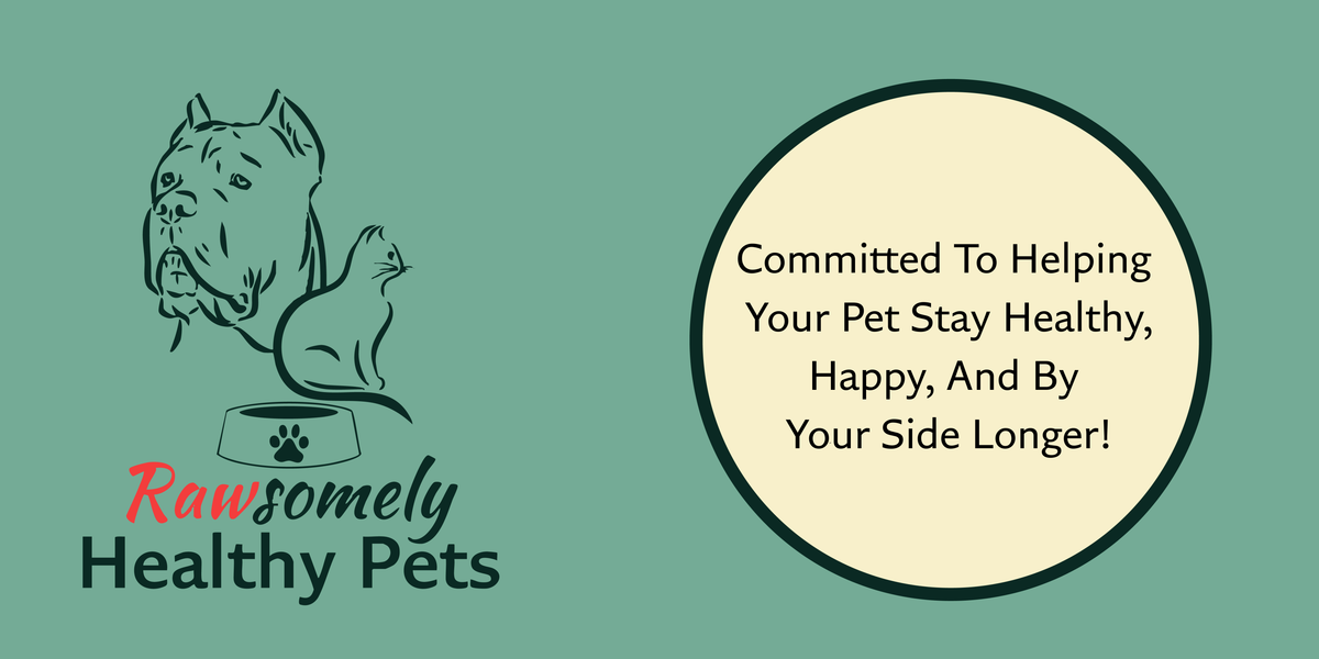 Preview image for Rawsomely Healthy Pets