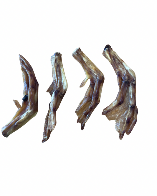 Duck Feet
