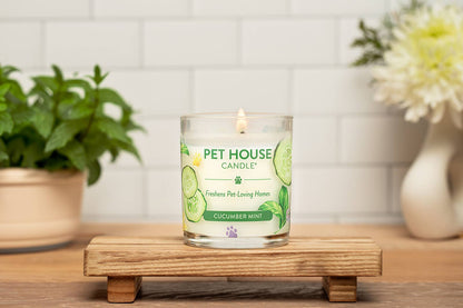Cucumber Mint 9 oz Candle