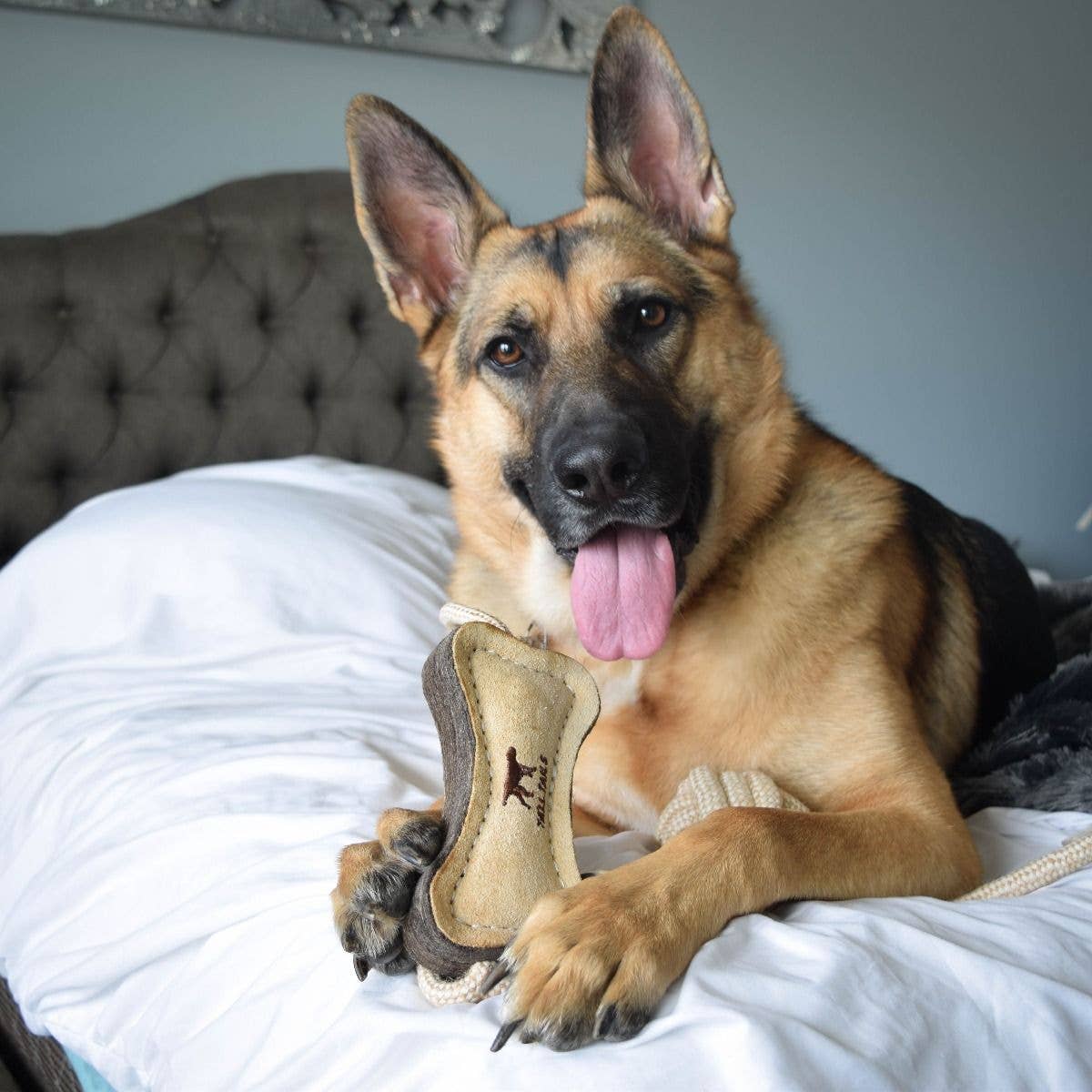 TALL TAILS NATURAL LEATHER & WOOL BONE TUG DOG TOY, LARGE