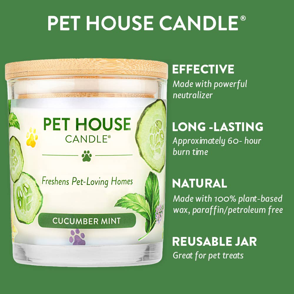 Cucumber Mint 9 oz Candle