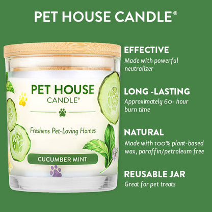 Cucumber Mint 9 oz Candle