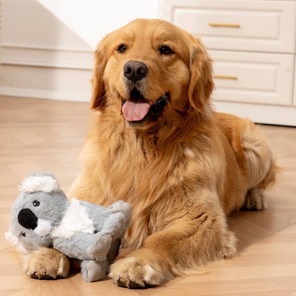 Koala with Squeaker Dog Toy