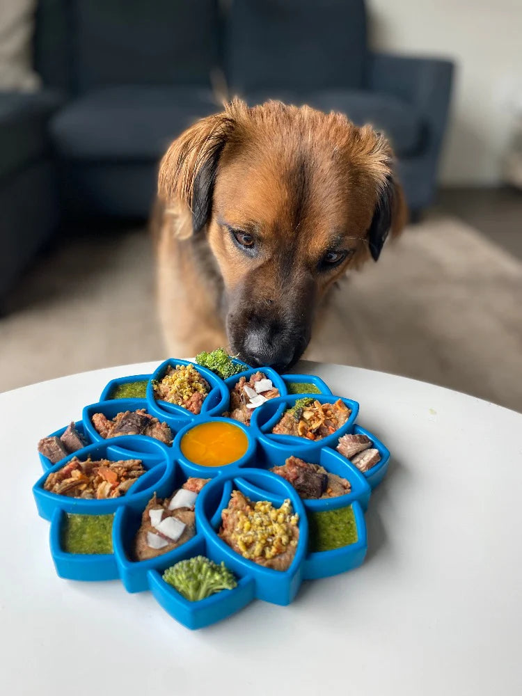 SODAPUP MANDALA DESIGN ETRAY ENRICHMENT TRAY FOR DOGS - BLUE