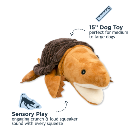 TALL TAILS SNAPPER TURTLE