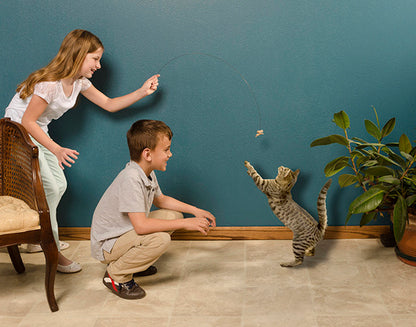 CAT DANCER ORIGINAL