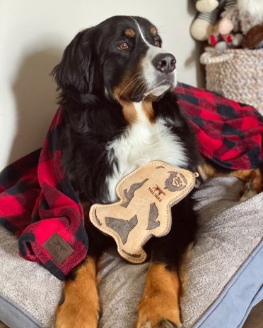 TALL TAILS BIG JUNIOR NATURAL LEATHER DOG TOY: SASQUATCH