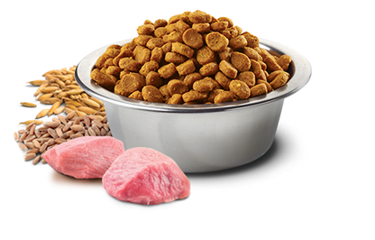 FARMINA ANCESTRAL GRAINS DRY DOG FOOD CHICKEN & POMEGRANATE (15.4 LBS)