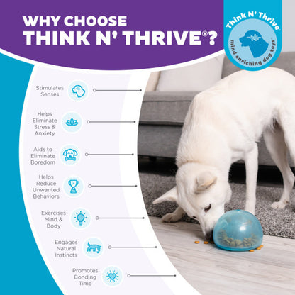 OUTWARD HOUND ORBEE-TUFF SNOOP INTERACTIVE TREAT BALL - LARGE